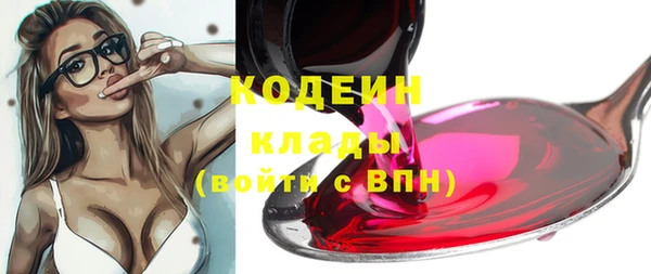 шишки Белоозёрский