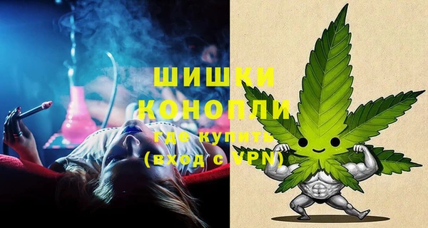 стафф Богородск