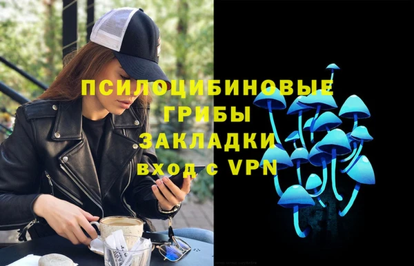 шишки Белоозёрский