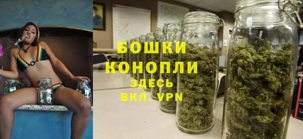 эйфоретик Богданович