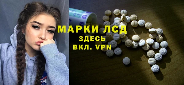 шишки Белоозёрский