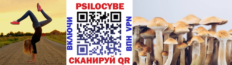 Галлюциногенные грибы мицелий  OMG ONION  Минусинск 